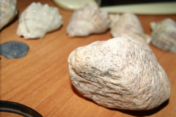 2017-02-02 17-54-18.JPG