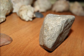 2017-02-02 18-13-36.JPG