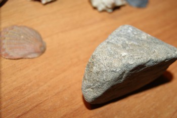 2017-02-02 18-13-46.JPG