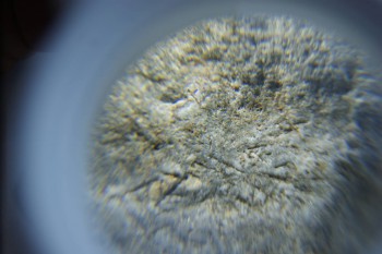 2017-02-05 11-45-24.JPG