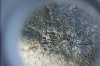 2017-02-05 11-46-24.JPG