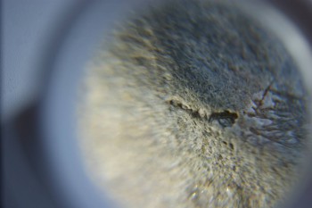 2017-02-05 11-47-02.JPG