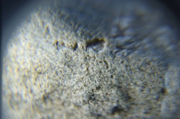 2017-02-05 11-47-26.JPG