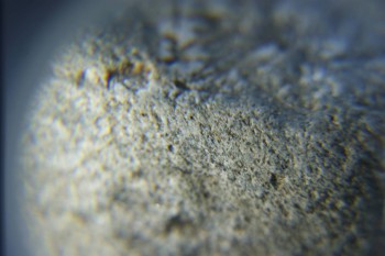 2017-02-05 11-47-36.JPG