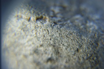 2017-02-05 11-47-40.JPG