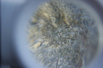 2017-02-05 11-48-12.JPG