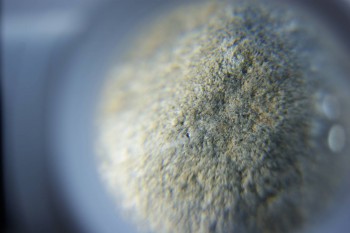 2017-02-05 11-48-40.JPG