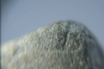 2017-02-05 11-49-34.JPG