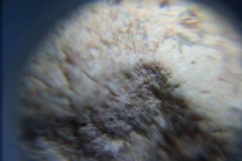 2017-02-05 11-50-36.JPG