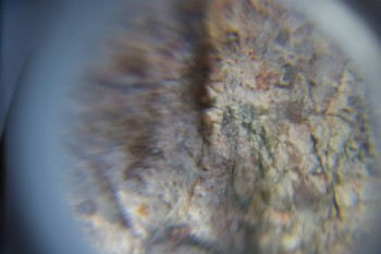 2017-02-05 11-51-18.JPG