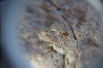 2017-02-05 11-51-26.JPG