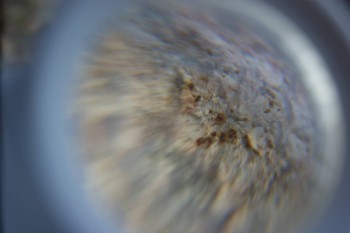 2017-02-05 11-52-28.JPG