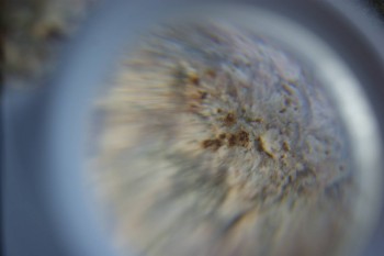 2017-02-05 11-52-50.JPG