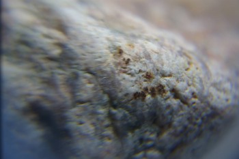 2017-02-05 11-53-36.JPG