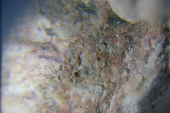 2017-02-05 11-54-22.JPG