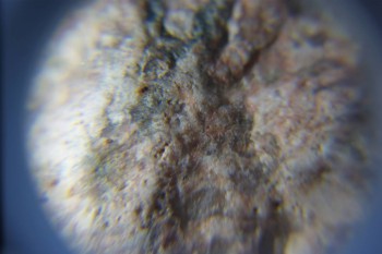 2017-02-05 11-54-54.JPG