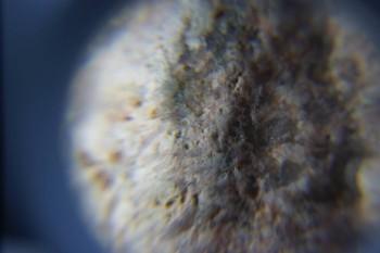 2017-02-05 11-55-00.JPG