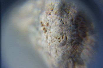 2017-02-05 11-55-06.JPG