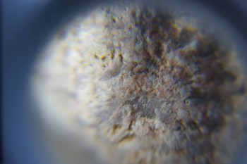 2017-02-05 11-55-16.JPG