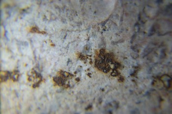 2017-02-05 11-55-34.JPG