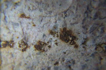 2017-02-05 11-55-40.JPG