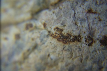 2017-02-05 11-55-58.JPG