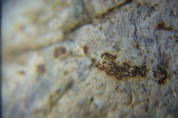 2017-02-05 11-56-02.JPG