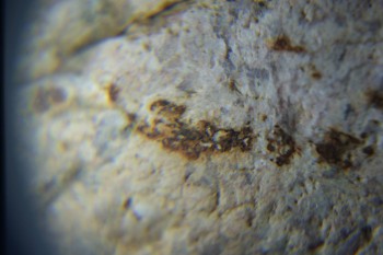 2017-02-05 11-56-12.JPG