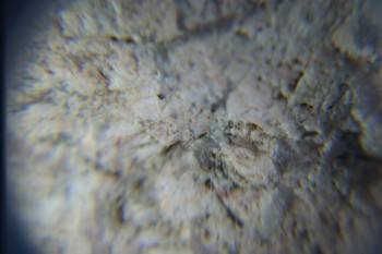 2017-02-05 11-56-28.JPG