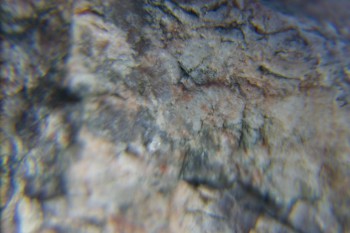 2017-02-05 12-01-56.JPG