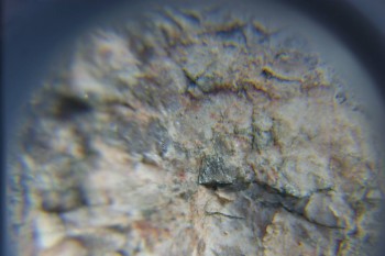 2017-02-05 12-01-40.JPG