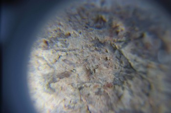 2017-02-05 12-01-26.JPG