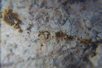 2017-02-05 12-00-50.JPG