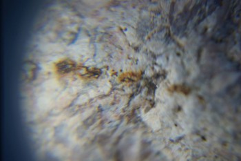 2017-02-05 12-00-44.JPG