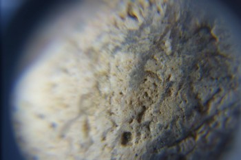 2017-02-05 12-00-28.JPG