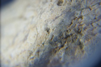 2017-02-05 11-59-46.JPG