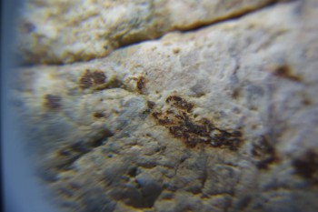 2017-02-05 11-59-24.JPG