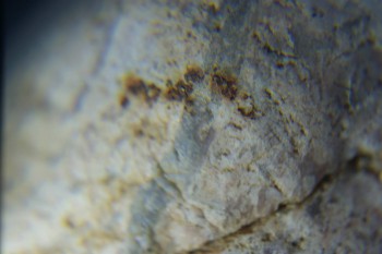 2017-02-05 11-58-48.JPG