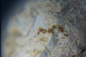 2017-02-05 11-58-42.JPG