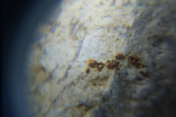 2017-02-05 11-57-42.JPG