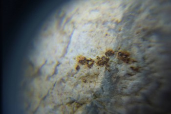 2017-02-05 11-57-38.JPG