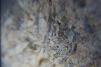 2017-02-05 11-57-20.JPG