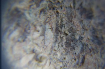 2017-02-05 11-57-16.JPG