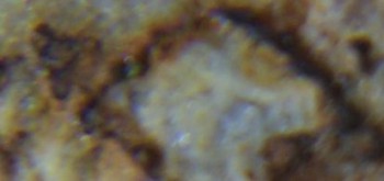 2017-02-05 12-00-50 (4).JPG