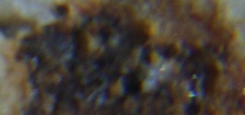 2017-02-05 12-00-50 (3).JPG