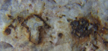 2017-02-05 12-00-50 (2).JPG