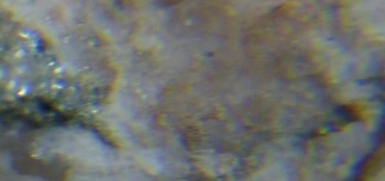 2017-02-05 12-02-04 (4).JPG