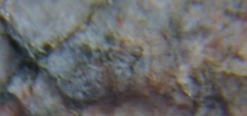 2017-02-05 12-01-56 (3).JPG