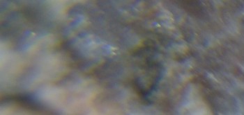 2017-02-05 12-01-56 (4).JPG