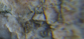 2017-02-05 12-02-04.JPG